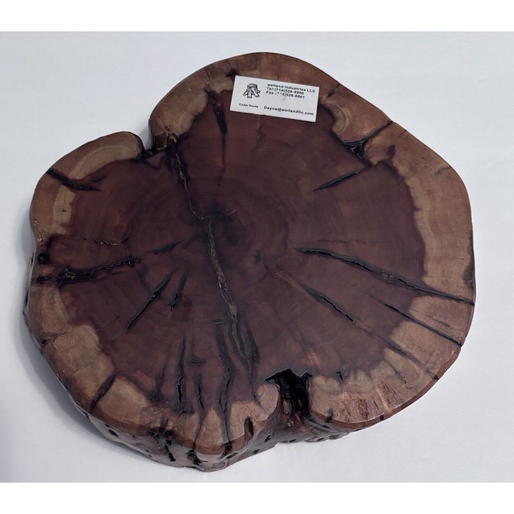 Welland Industries Cedar Roots 8" x 7" x‎ 1.25"